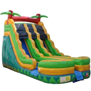 18'H Dual Lane Palm Tree Slide Wet n Dry
