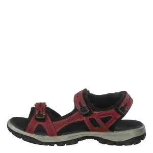 451-2002 Red