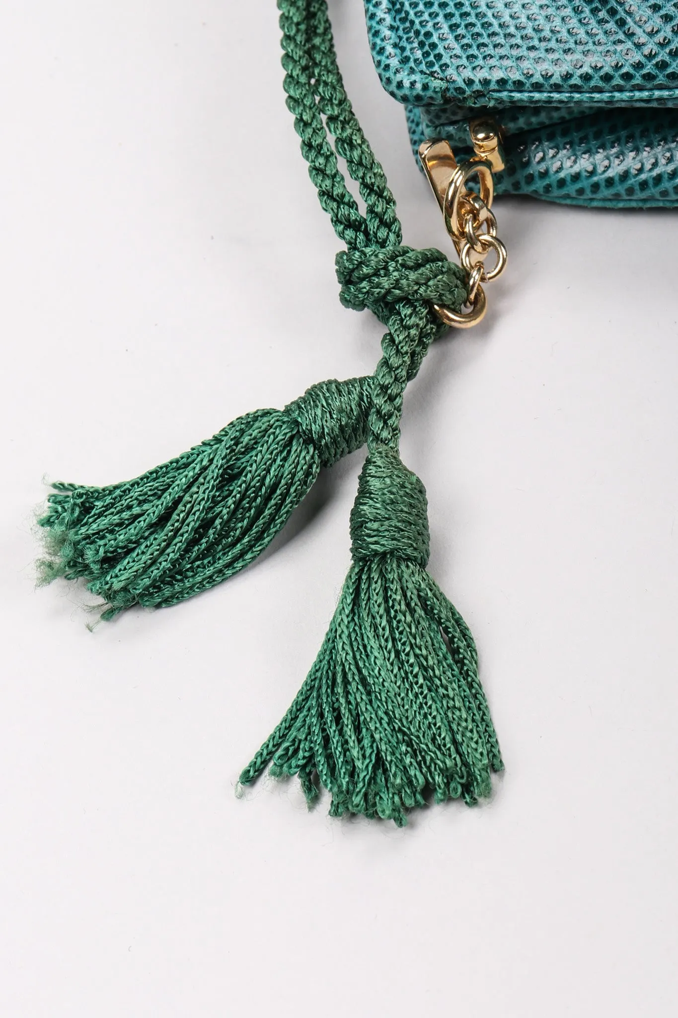 Lizard Tassel Bag
