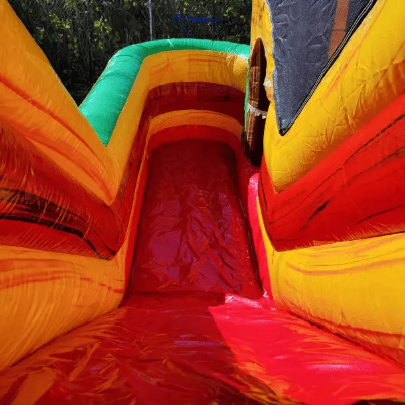 Palm Tree Bounce House Combo XL Wet/Dry
