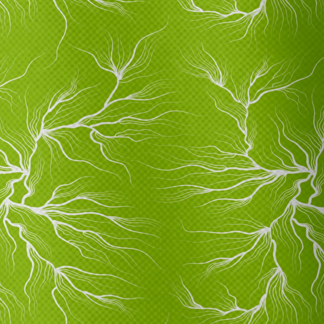 Pro-Level Rush Guard for Swimmers, Surfers, and Fitness Enthusiasts – UV Protection and Quick-Dry Fabric