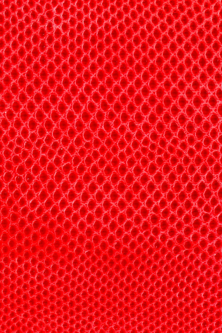 Reptile Mini Case Bag