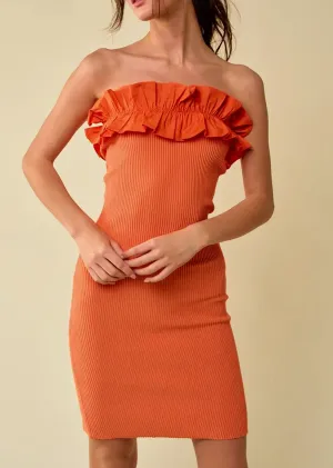 Ruffle Trim Ribbed Tube Dress