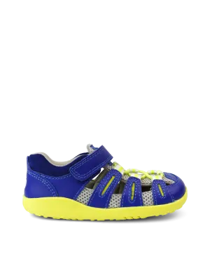 Summit Step Up Blueberry Neon