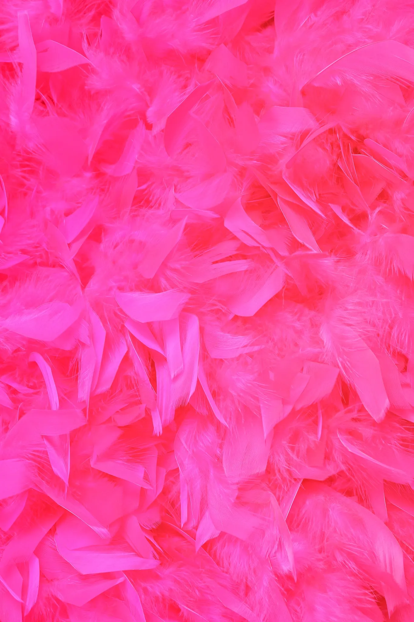 Vivid Feather Chubby Jacket